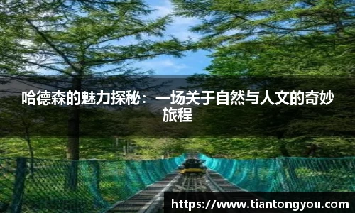 乐玩国际